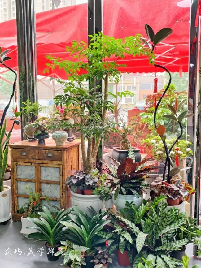 博思花藝婚慶教育，婚慶培訓(xùn)，花藝培訓(xùn)，插花培訓(xùn)，花藝師培訓(xùn)，主持人培訓(xùn)，商務(wù)主持人培訓(xùn)，花店運(yùn)營培訓(xùn)，花店全系統(tǒng)營銷，小白開花店，小白學(xué)主持，金璽棠婚慶酒店，金璽棠總部，鄭州金麻雀教育科技有限公司