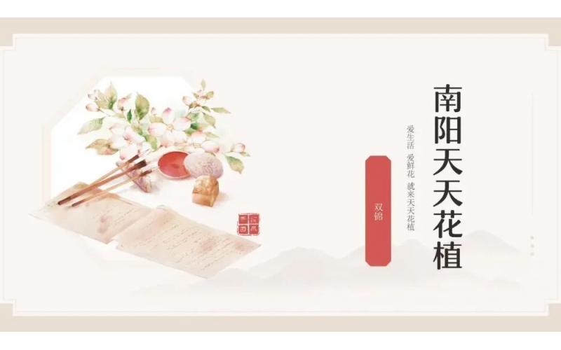 頌花匠-南陽(yáng)天天花植端午節(jié)沙龍-分享人雙錦